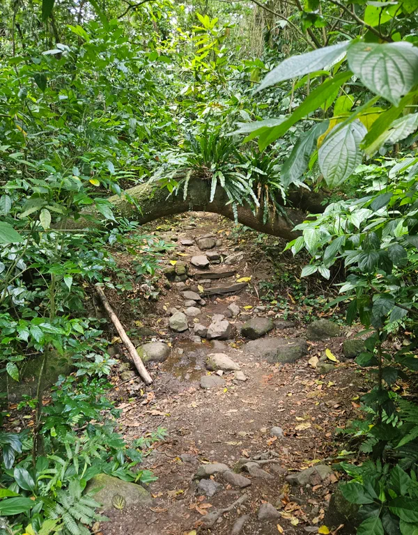 Balade à la Cascade de la rivière Couleuvre