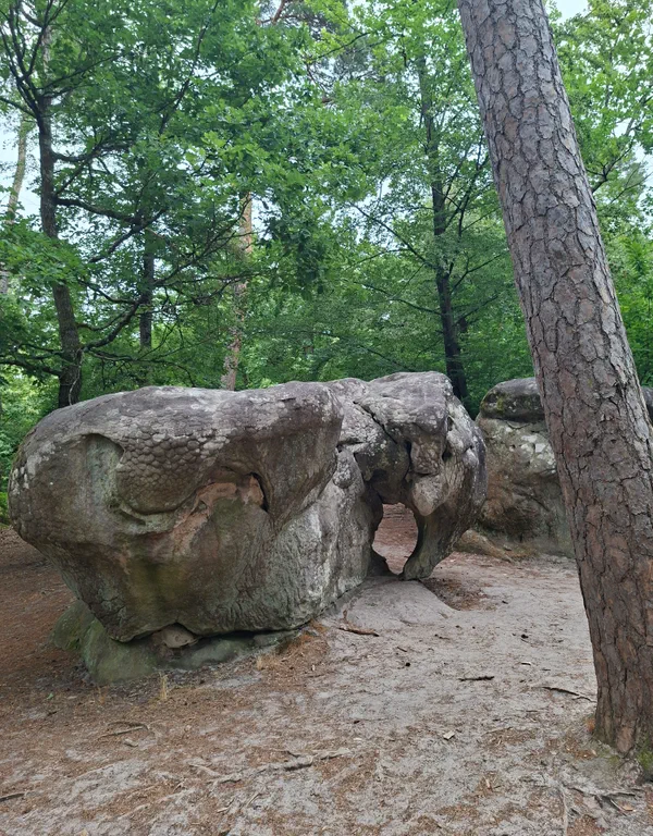Barbizon Rocher Gorges d’Apremont circuit no 6