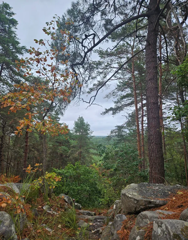 Fontainebleau Forest and spectacular Apremont Gorges