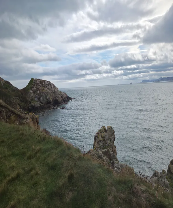 Howtch Dunlin Howth-Klippenwanderung