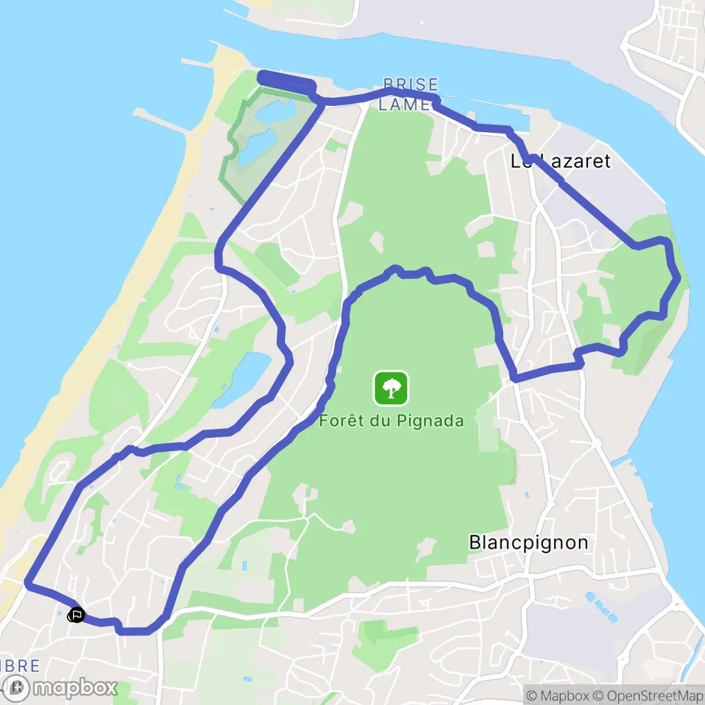 VTC autour d'Anglet et la forêt du Pignada