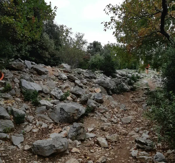 Sur les contreforts du petit Luberon