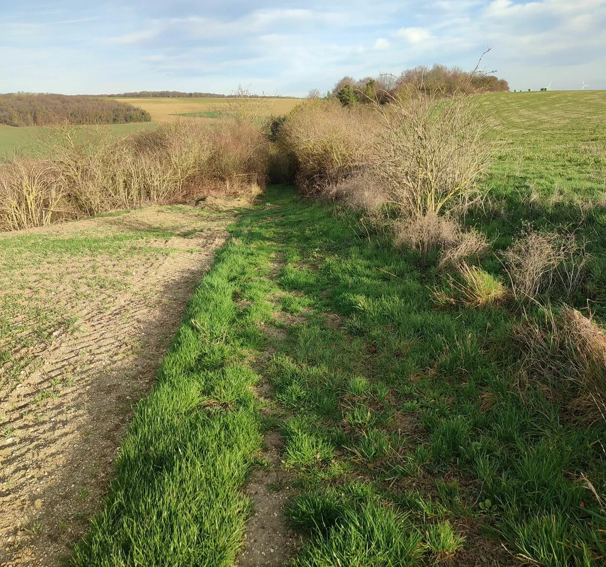 Circuit de Braches