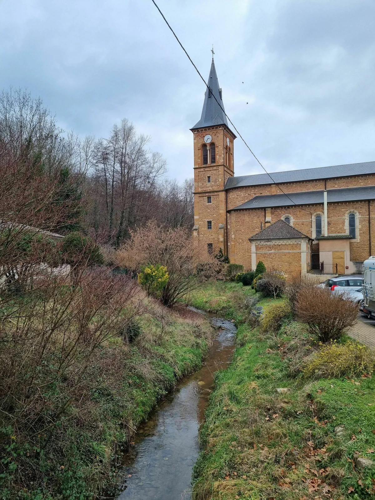 Saint Rando Rando sympa dans les vignes autour de Saint Julien - Blacé