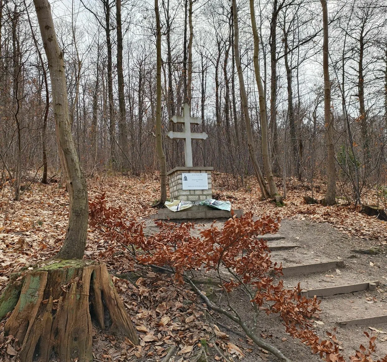 Croix orthodoxe commémorative dans une forêt d'automne, avec des feuilles mortes au sol et un vieux tronc d'arbre au premier plan. Franconville-la-Garenne - Val-d'Oise. France