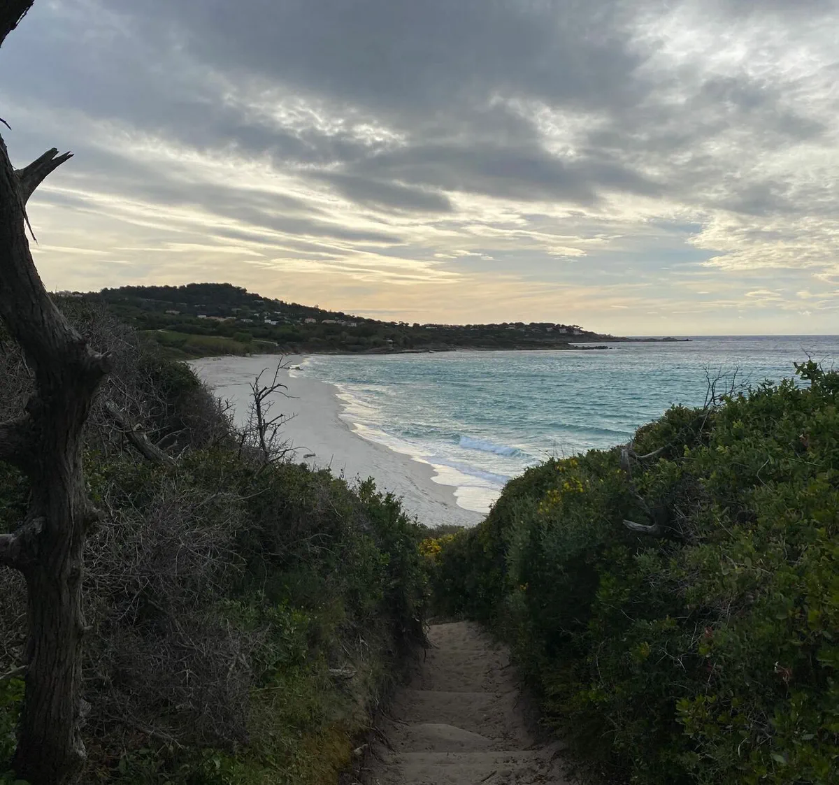 Balade d’Avril, ventée aux plages de Bodre et Ghjunchetu ️