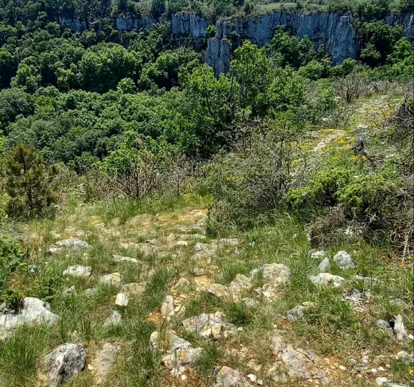 De Marsannay-la-Côte à Nuits St Georges par les vignes