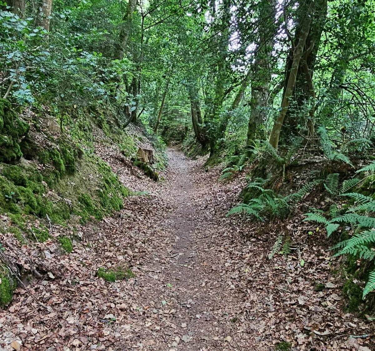 Merrien d'une Ria à l'autre