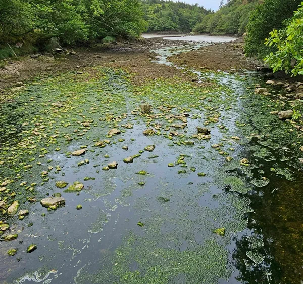 Merrien d'une Ria à l'autre