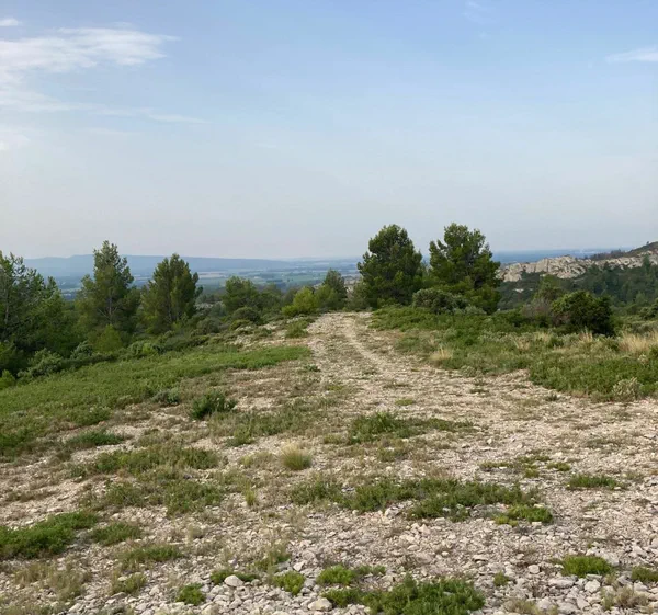 Marche matinale à San Salvador
