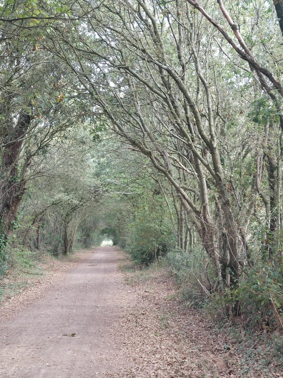 Le Chemin de Ronde à Château d'Olonne