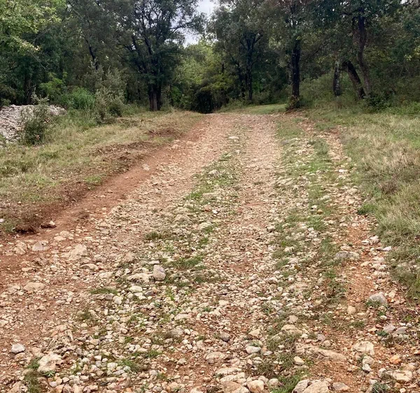 Sortie VTT à l’oppidum de Murviel