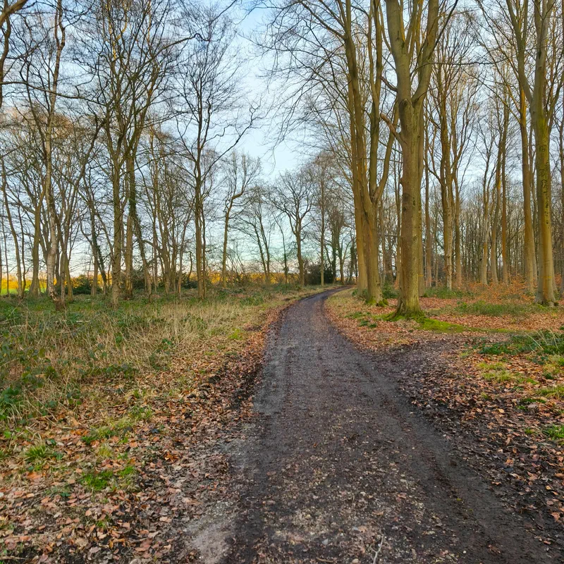 rando-montigny