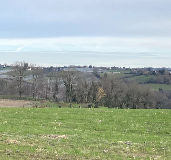 Petite promenade dans les hauteurs de Juillac, par le Puytinaud