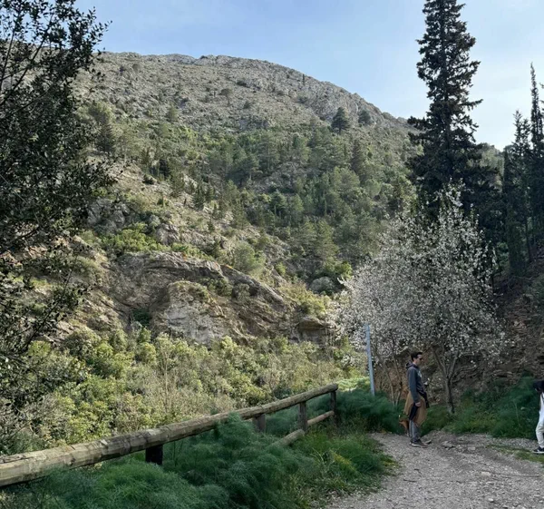 Castelnou - Roc de Majorque