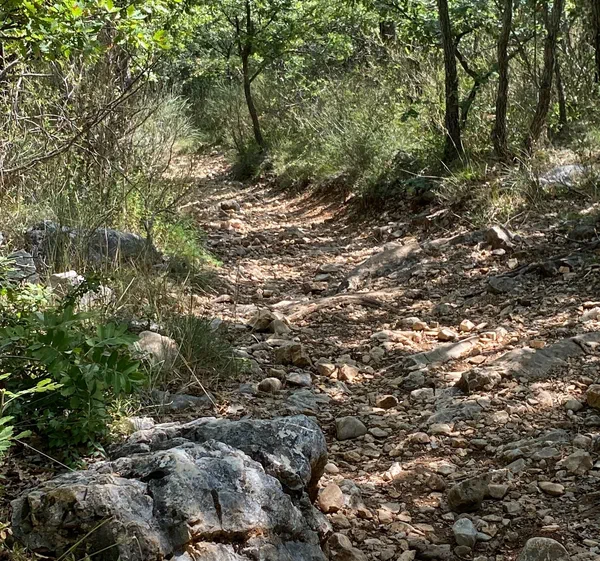 Parcours Au Dessus De Bauduen parcours-au-dessus-de-bauduen