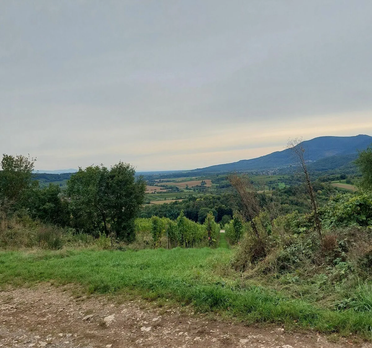 Colline calcaire