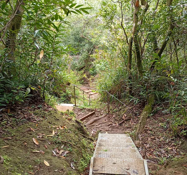 Sentier des Ravenales