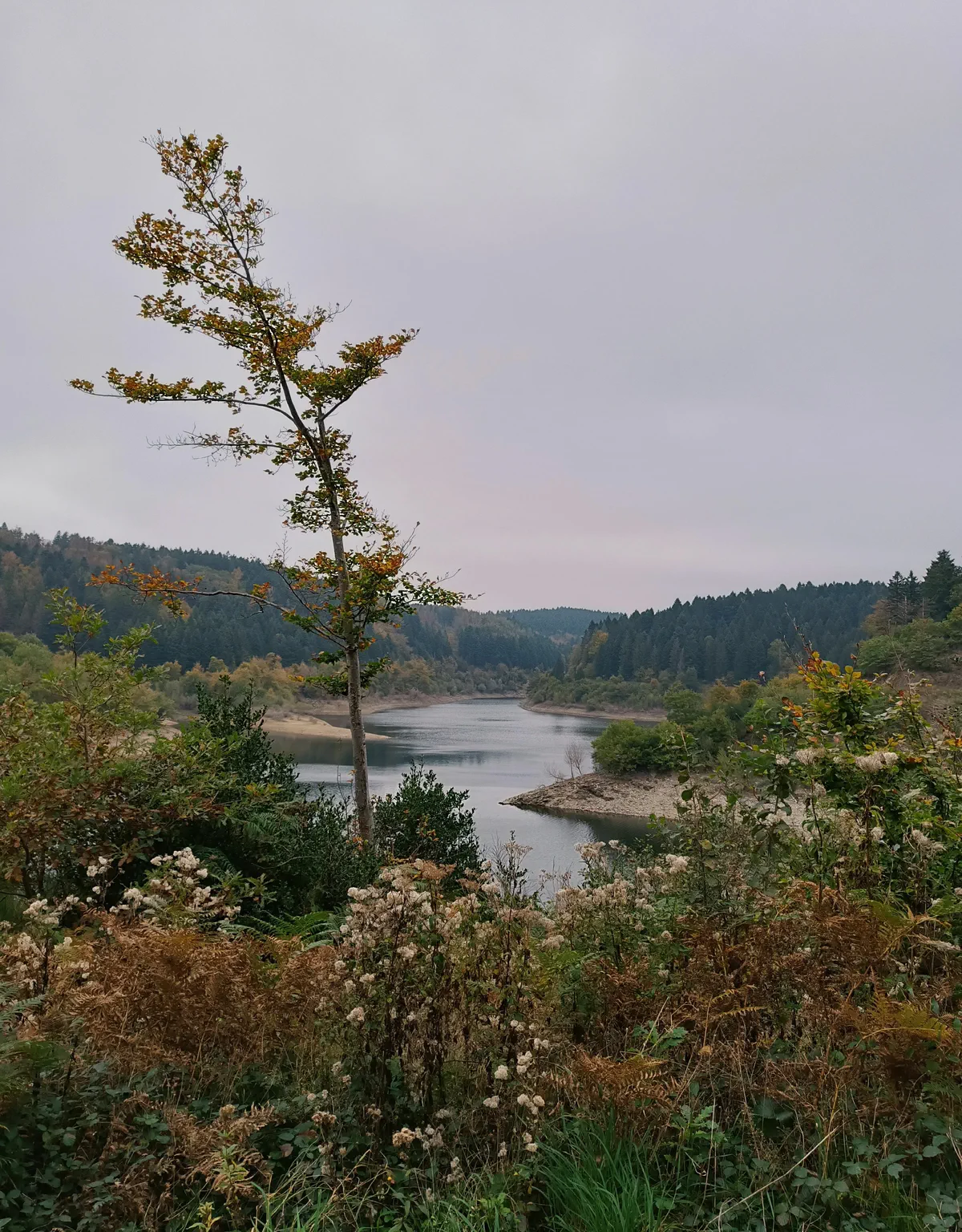Tour du lac des Cammazes et la rigole de la montagne