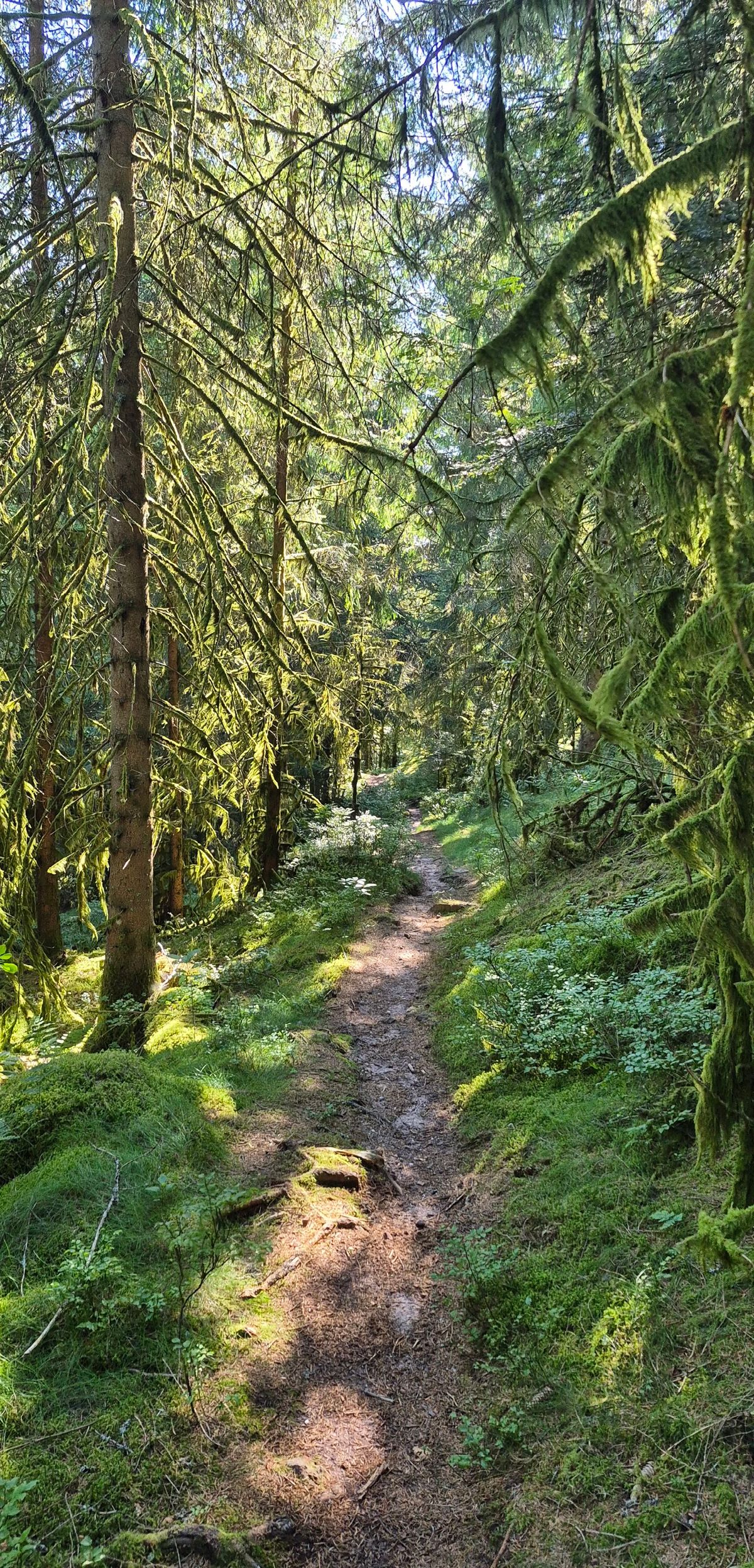 Le Climont : les plus belles randonnées et balades