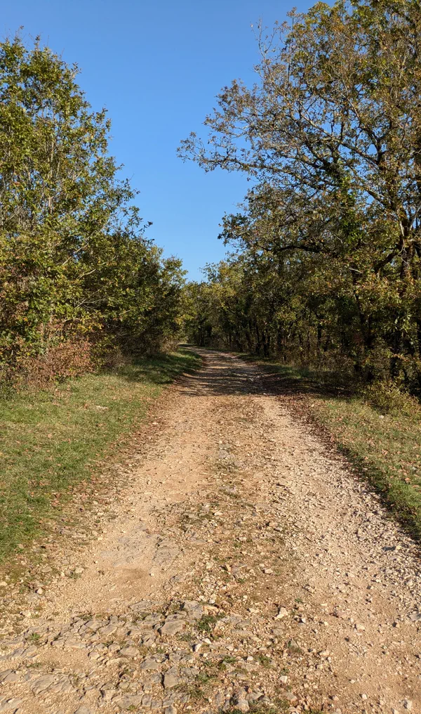 Condat-sur-Vézère et promenade dans une nature complice