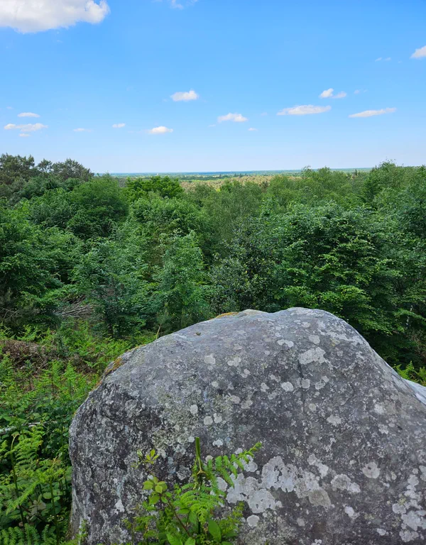 Barbizon Rocher Forêt de Fontainebleau et spectaculaires gorges d'Apremont