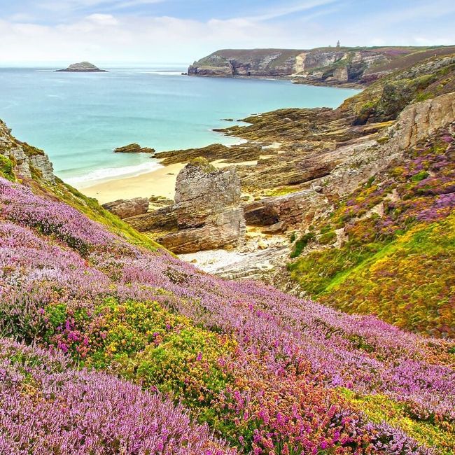 Au cap Fréhel, des randonnées grandioses en Bretagne