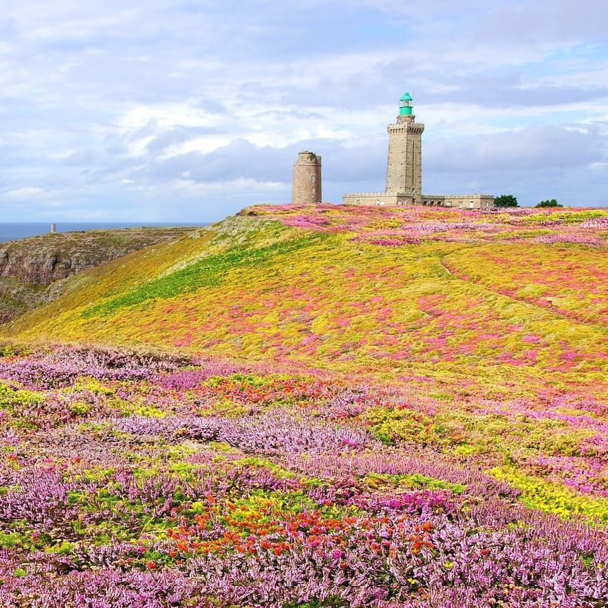 Au cap Fréhel, des randonnées grandioses en Bretagne