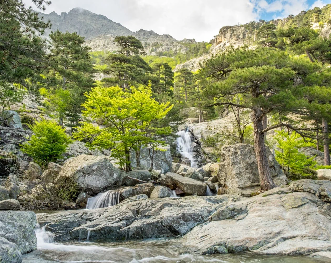 Saascade Cascade des Anglais, joyau de Corse en randonnée