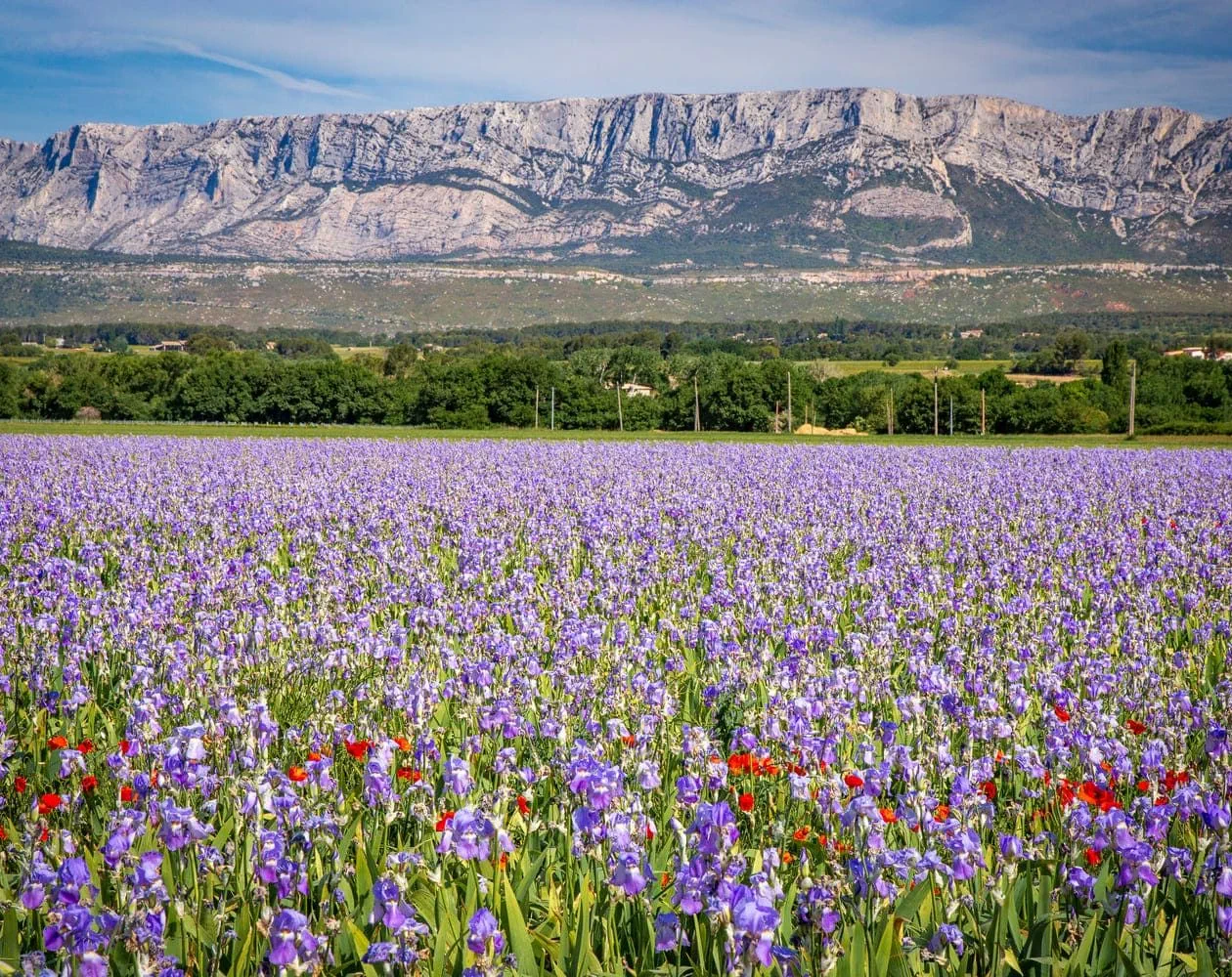Les plus belles randonnées d’Aix-en-Provence