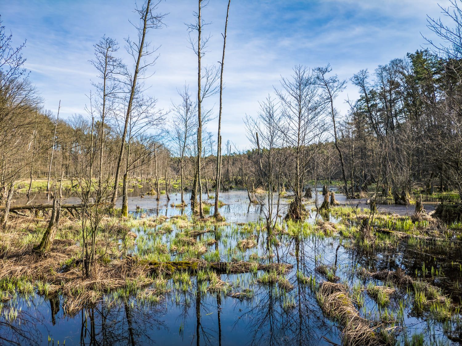 Kampinoski Park Narodowy — trasy rowerowe i piesze