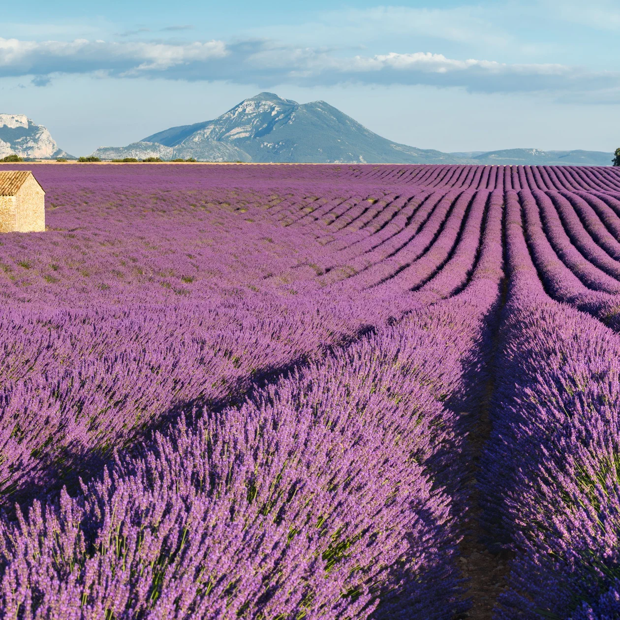 Randonnée Alpes-de-Haute-Provence : les plus beaux itinéraires