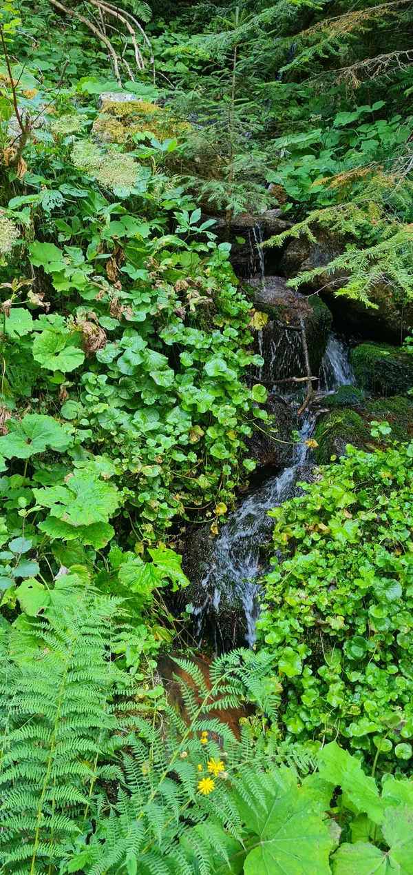 Petite balade en Vallée du Boréon