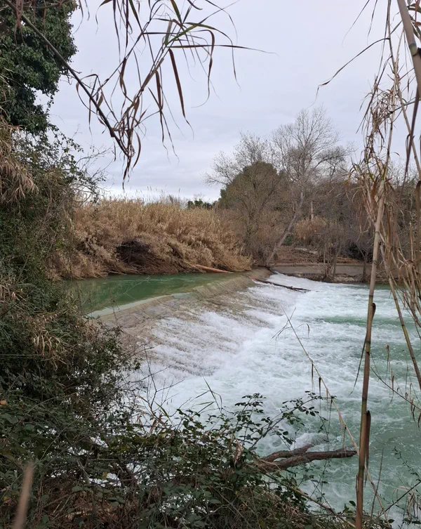 Du Somail à Mirepeisset