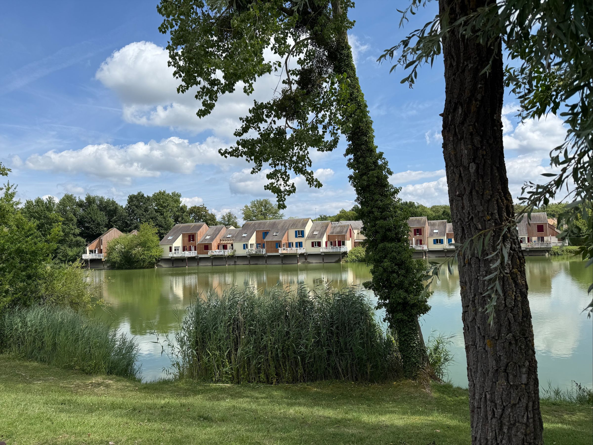 Vue d'une rang&eacute;e de maisons modernes au bord d'un lac paisible, avec des arbres verdoyants et un ciel bleu parsem&eacute; de nuages.