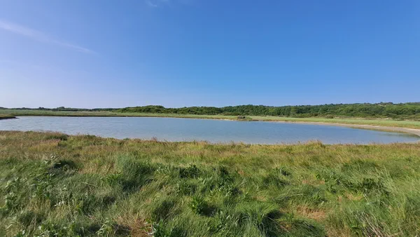 Découverte des marais et de la baie de la canche
