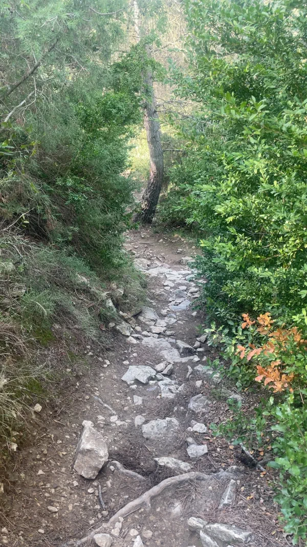 Superbes hauteurs de Boulbon et charme du Moulin Bonnet