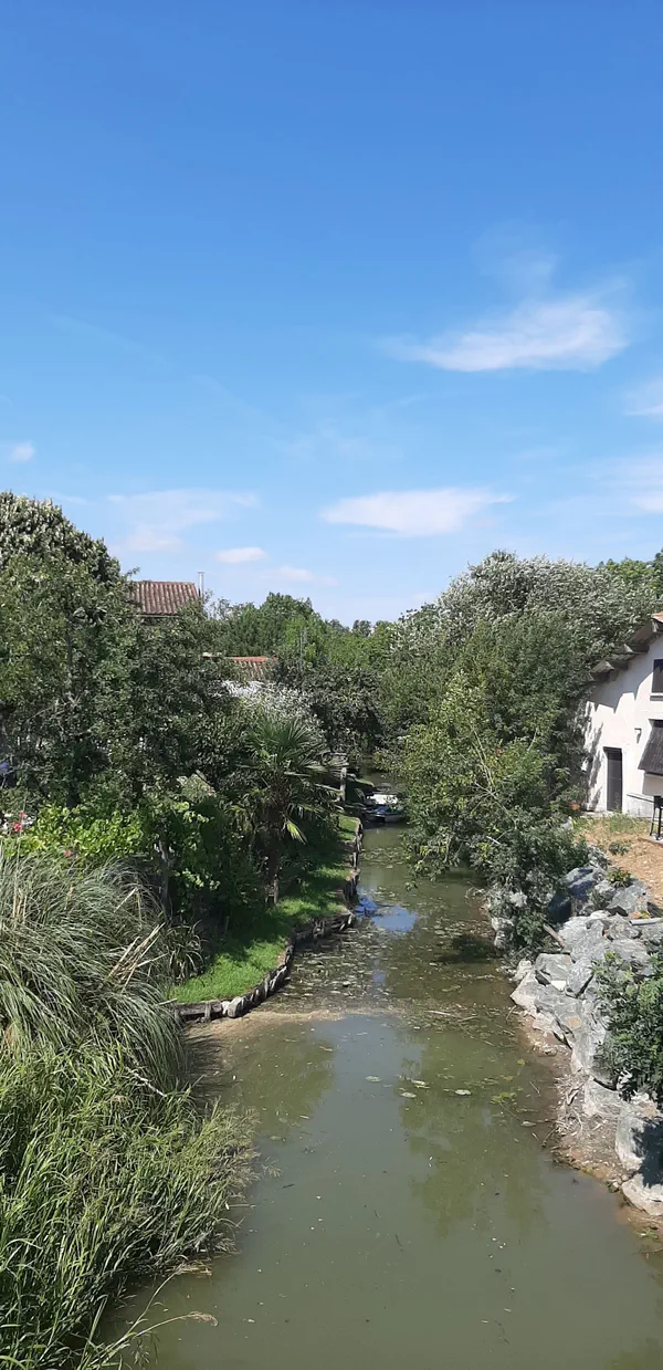 Balade dans le Marais Poitevin depuis Maillezais (avec détour point de vue)