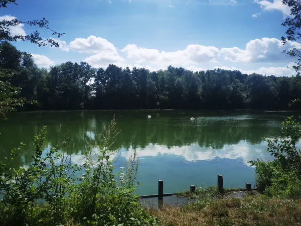 Tour du lac du Hron et calme  Villeneuve-d'Ascq