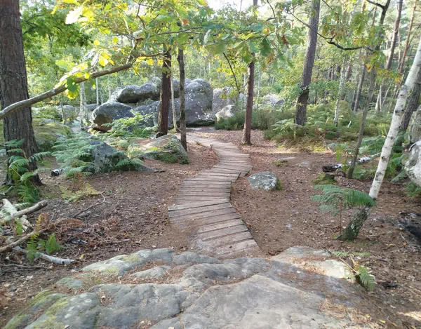 Fontainebleau Forest and spectacular Apremont Gorges