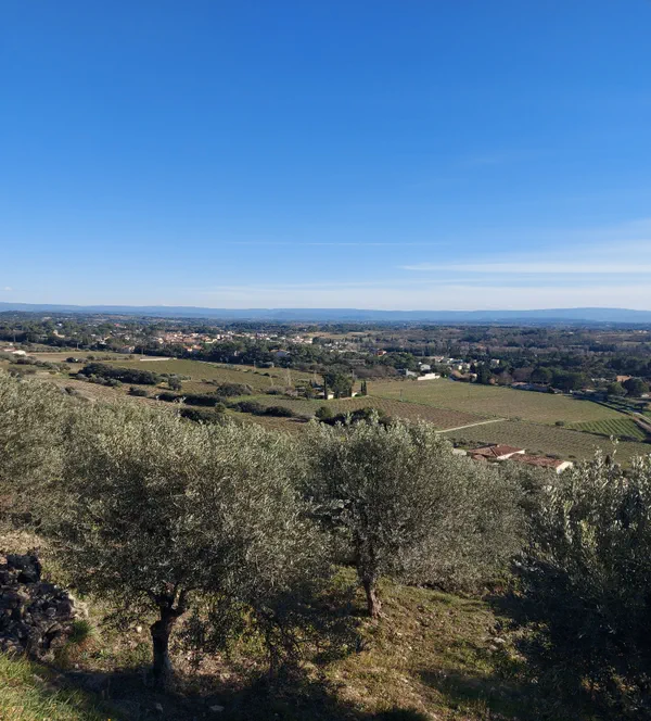 Point de vue à Beaume de Venise