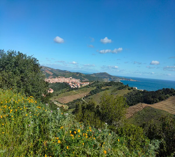Les hauteurs de Banyuls et retour par la côte