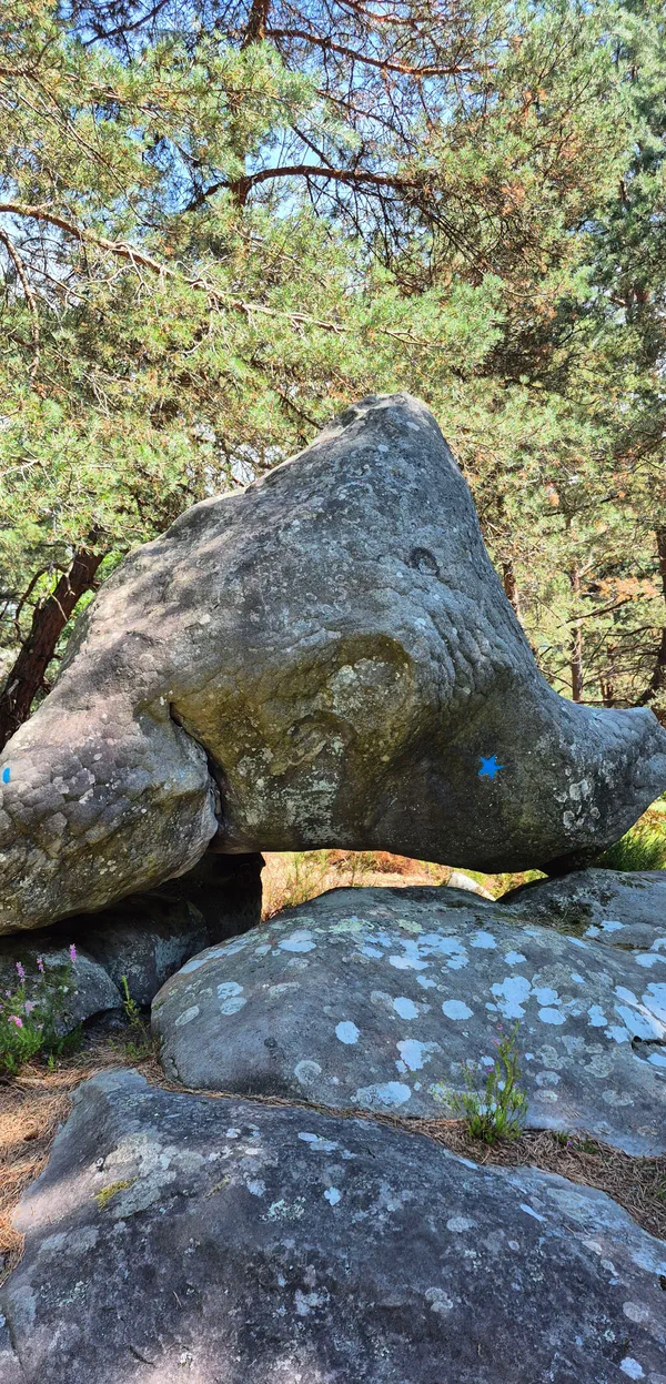 Barbizon Rocher Forêt de Fontainebleau et spectaculaires gorges d'Apremont