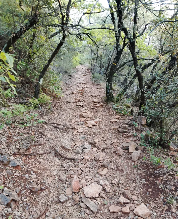 Ruelles bucoliques de Tourves et fraîcheur des gorges