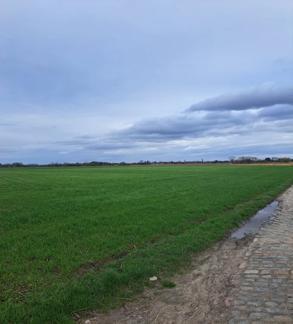 Balade à la campagne autour de Brillon