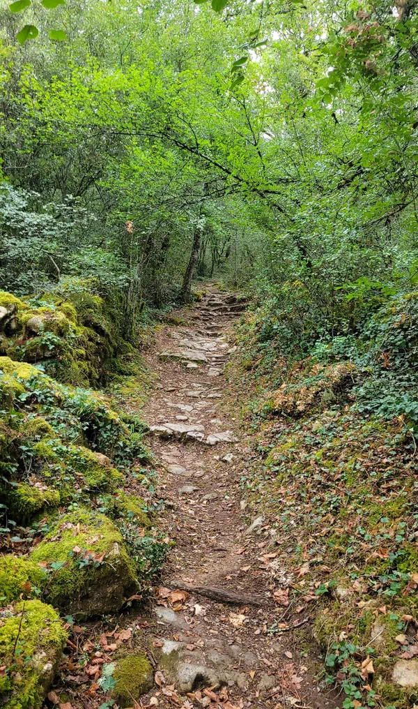 Vallée de la Dordogne à Castelnaud et couleurs éclatantes