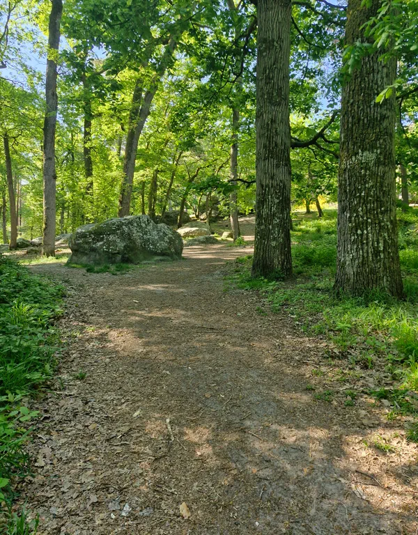 Barbizon Rocher Gorges d’Apremont circuit no 6