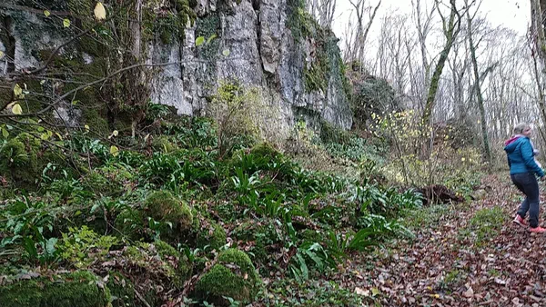 Sortie nature entre la Bôve, le Côna et le parc des Roches