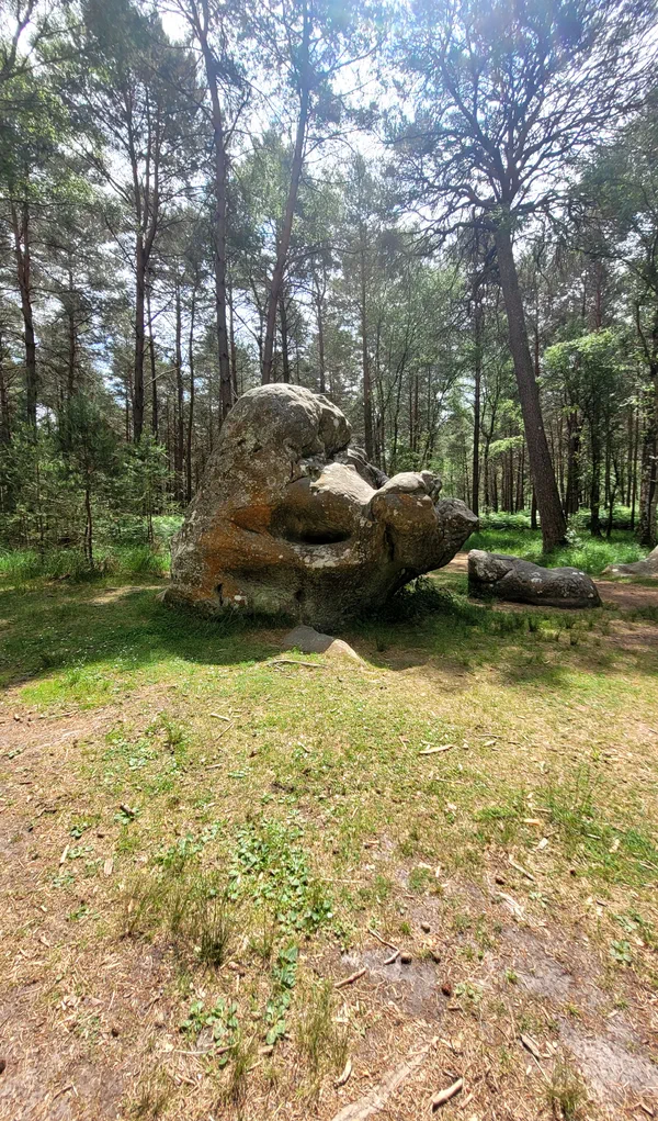Barbizon Rocher Gorges d’Apremont circuit no 6