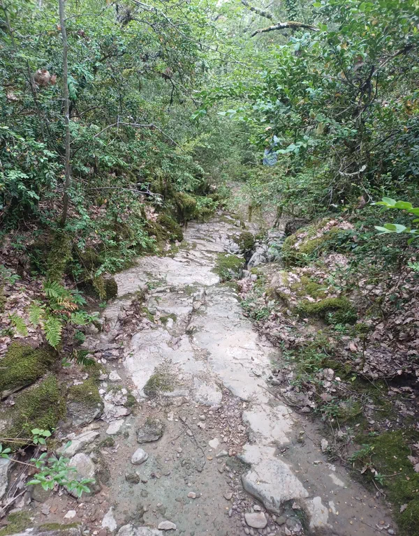 Gorges d'Oppedette